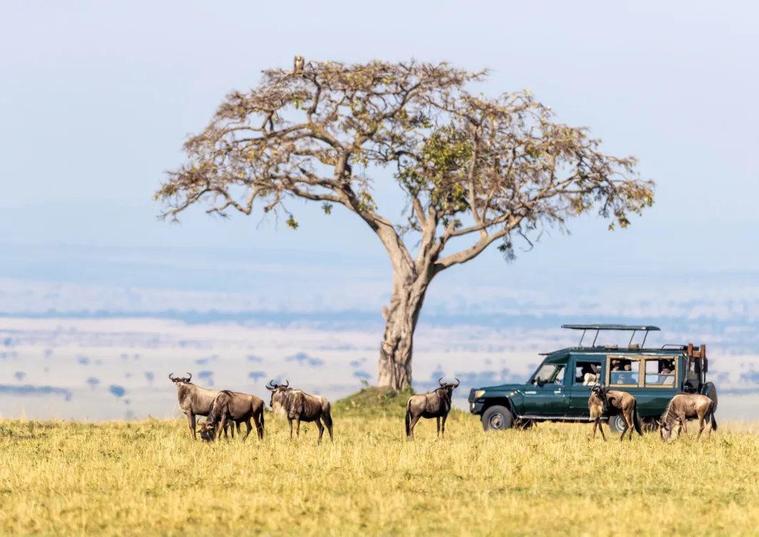 Maasai Mara National Reserve