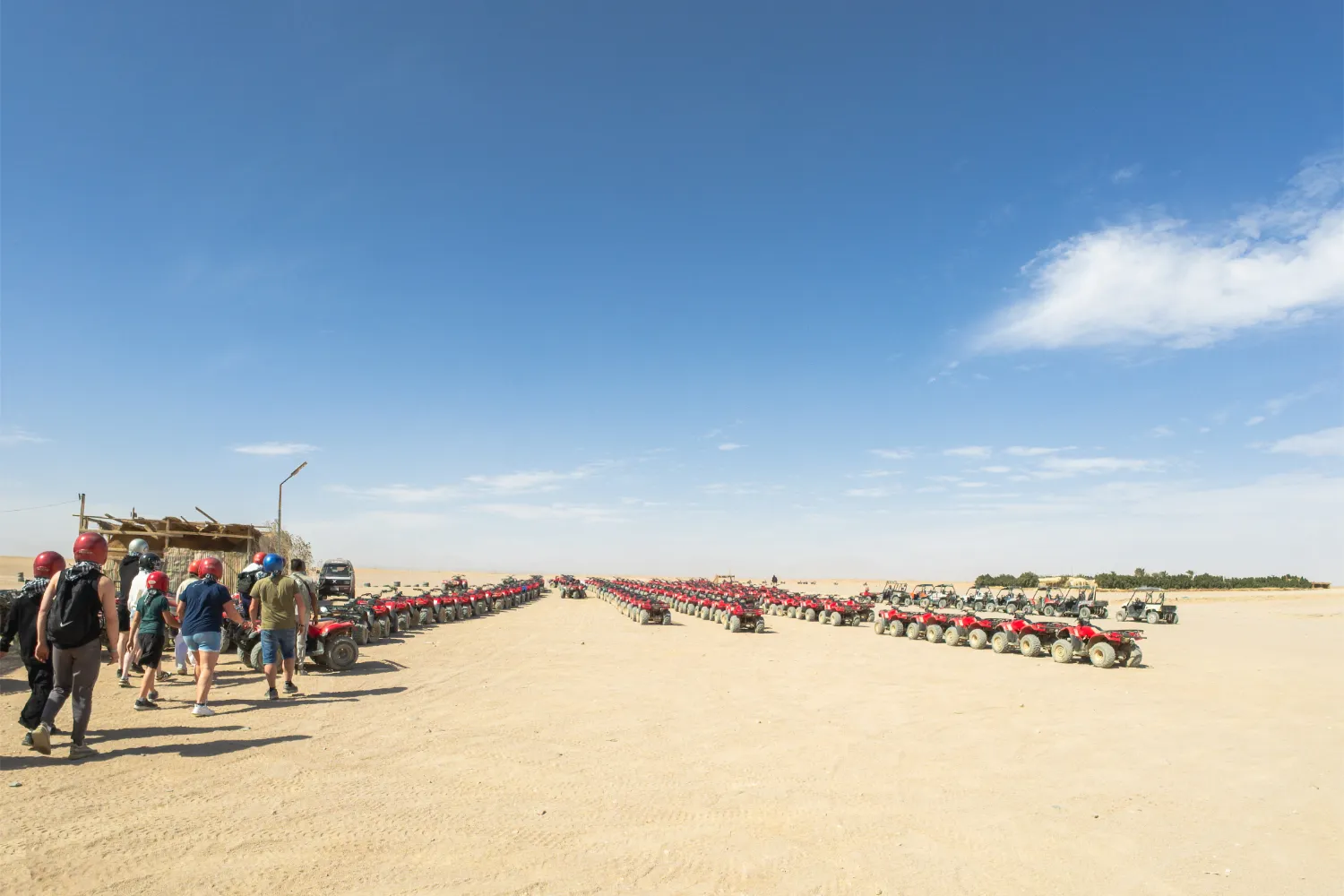 Safari and package tour travellers Safari and package tour travellers