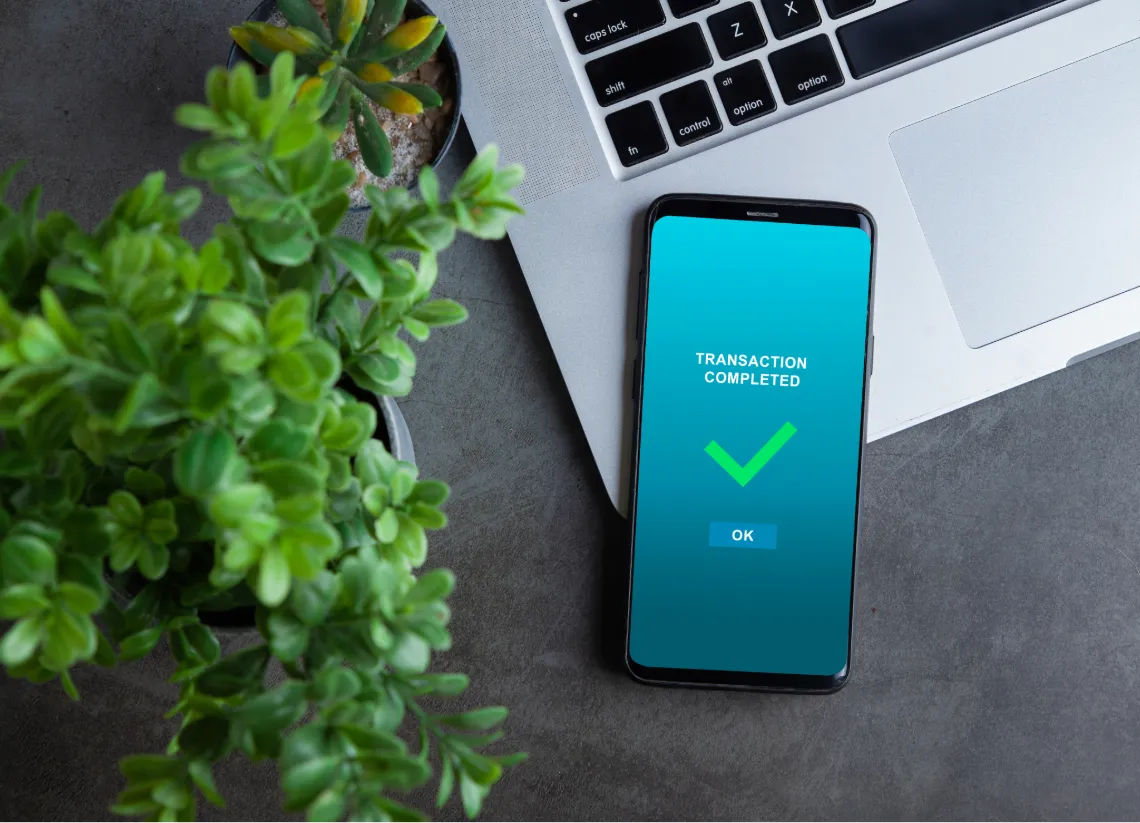 Traveller checking Tanzania eVisa eligibility on phone